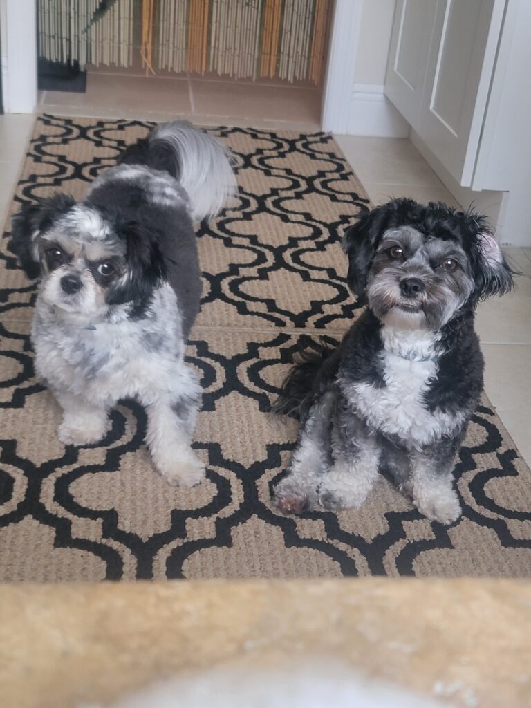 Is The Villages Pet Friendly?