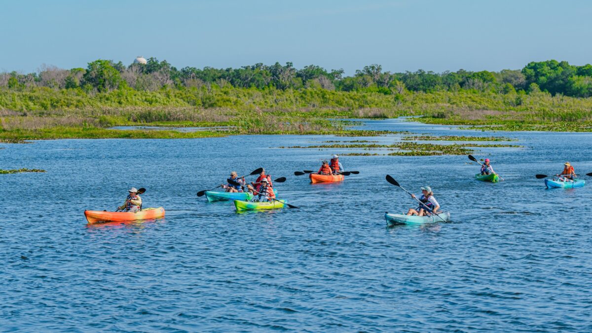 Kayaking Excursion